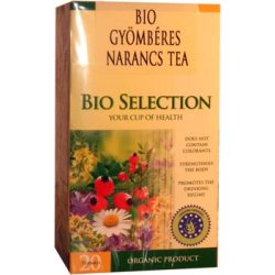 Apotheke Bio Gyömbéres narancs Tea, filteres (20 db)