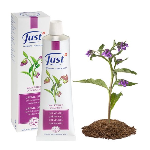 Just Wallwurz krém-gél (60 ml)