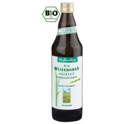 Dr. Steinberger Bio Zöldbúzafű koktél (750 ml)