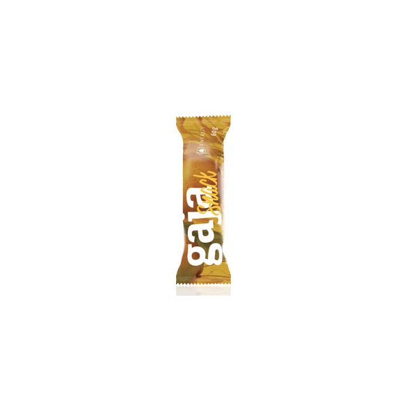 Energy Gaja snack (60 g)